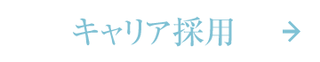 募集要項：キャリア採用